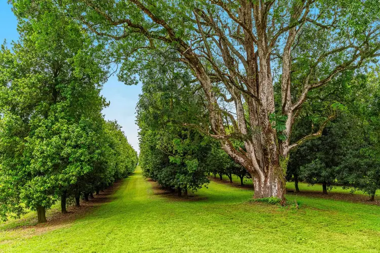 Second view of Homely rural property listing, 397 Duncan Road, Numulgi NSW 2480