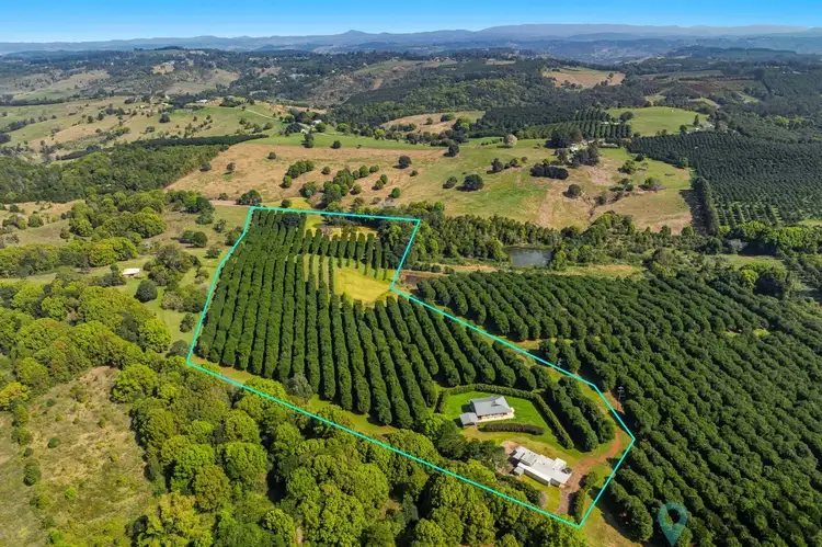 Sixth view of Homely rural property listing, 397 Duncan Road, Numulgi NSW 2480