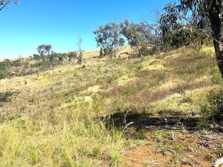 Seventh view of Homely rural property listing, LOT Lot 2 Rettkes Road, Swanfels QLD 4371