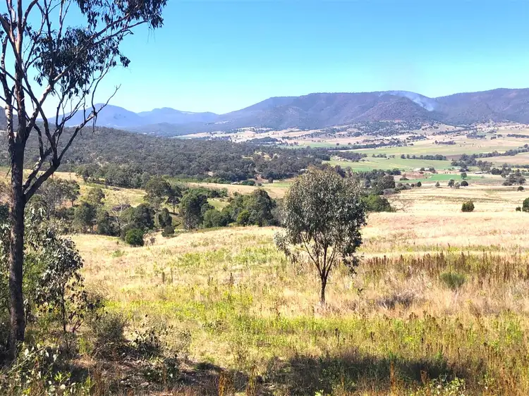 Fifth view of Homely rural property listing, LOT Lot 1 Rettkes Road, Swanfels QLD 4371