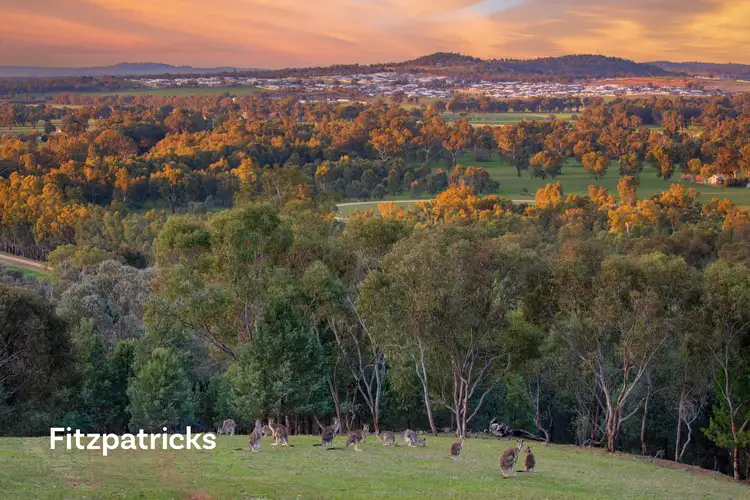 Second view of Homely rural property listing, 192 Roach Road, Moorong NSW 2650