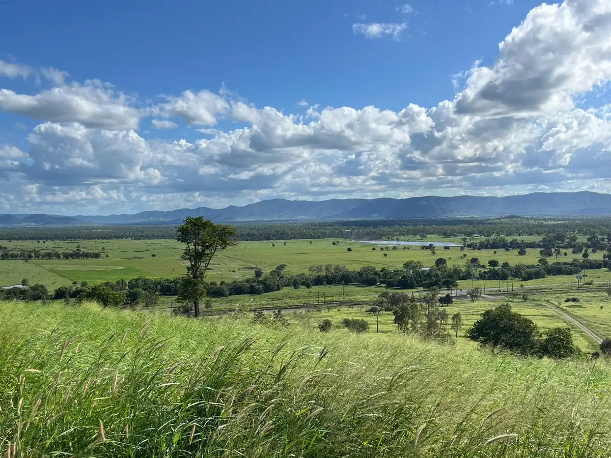 Main view of Homely rural property listing, 49 Sisalana Road, Bajool QLD 4699