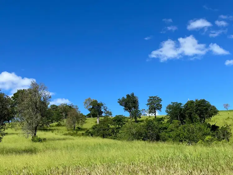 Fourth view of Homely rural property listing, 49 Sisalana Road, Bajool QLD 4699