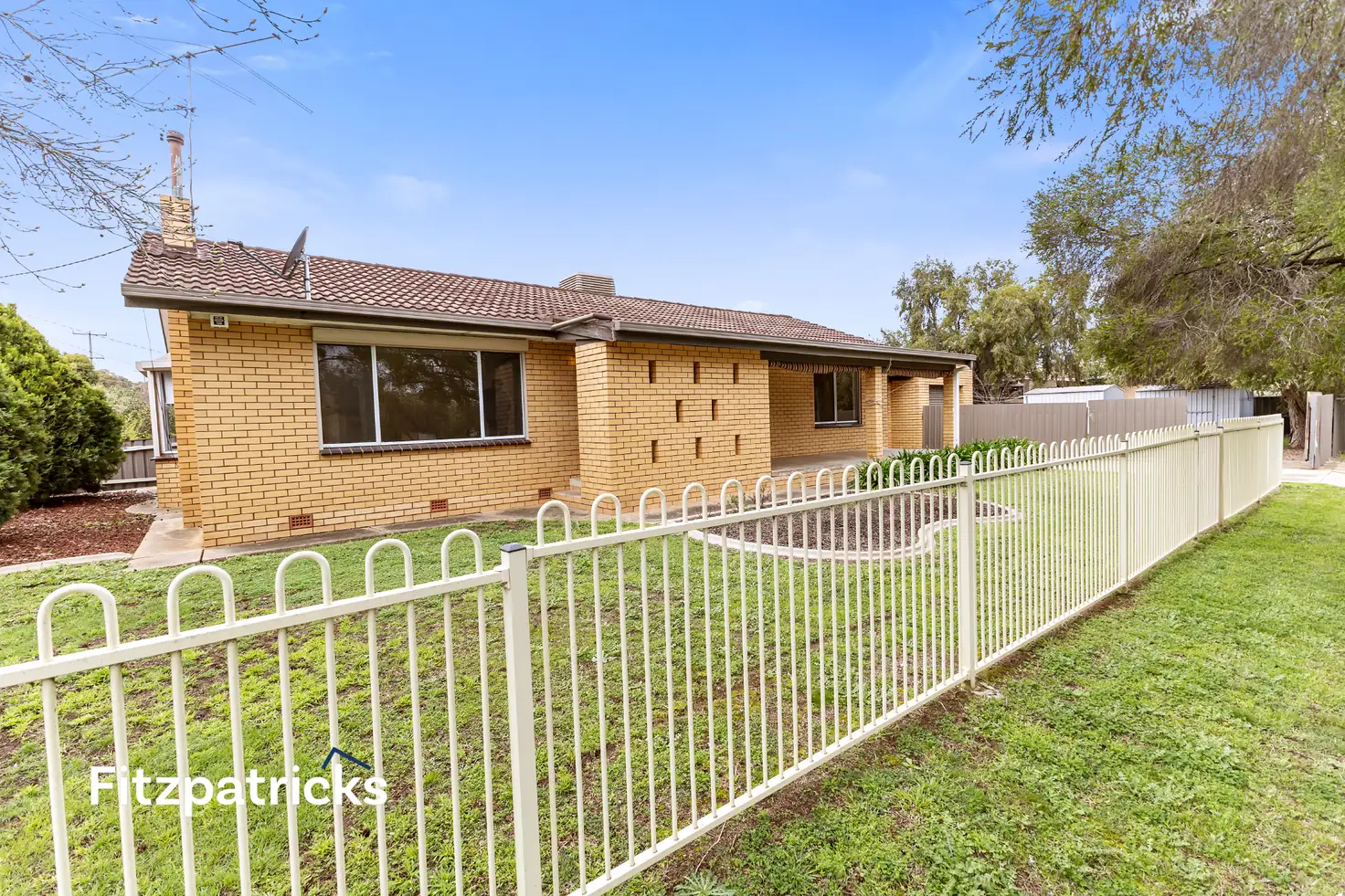 Main view of Homely house listing, 16 Maher Street, Tolland NSW 2650