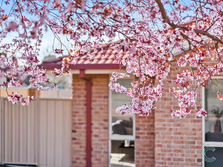 Second view of Homely house listing, 49 Ayrton Street, Gungahlin ACT 2912