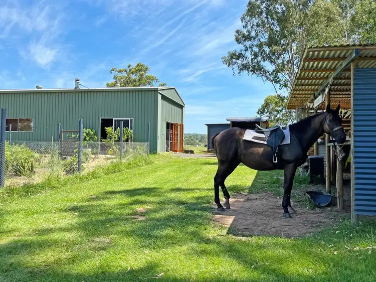 7888 Bruxner Highway, Tabulam NSW 2469