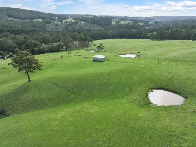 Main view of Homely rural property listing, 1915 Colac-Lavers Hill Road, Kawarren VIC 3249