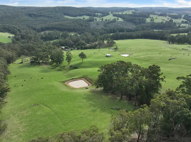 Second view of Homely rural property listing, 1915 Colac-Lavers Hill Road, Kawarren VIC 3249