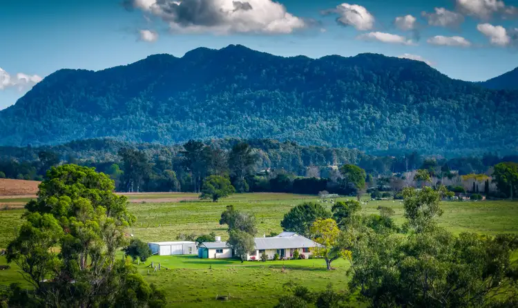 1531 Waterfall Way, Bellingen NSW 2454