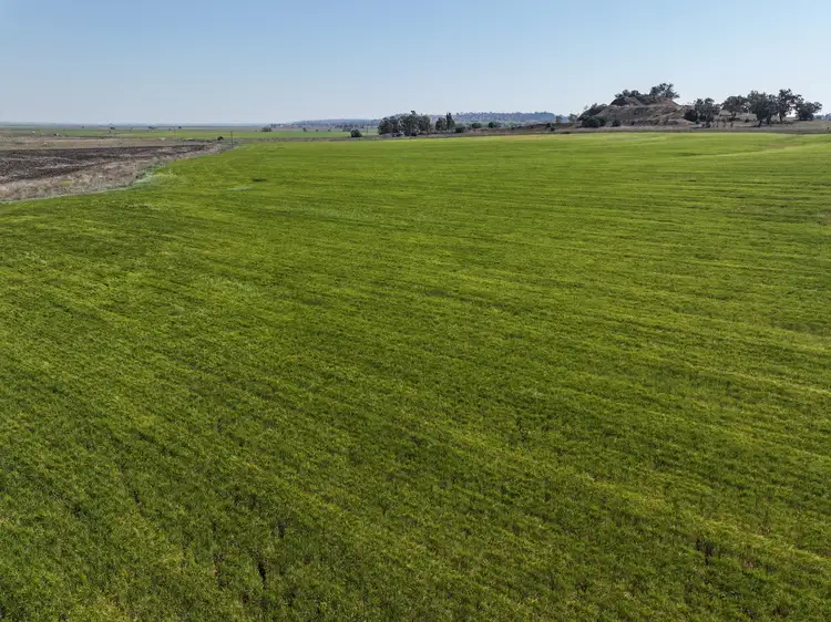 Fourth view of Homely rural property listing, LOT 2284 Garthe Road, Aubigny QLD 4401