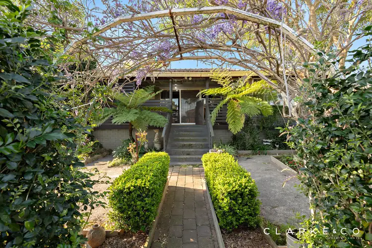 22 Byng Street, Tenambit NSW 2323