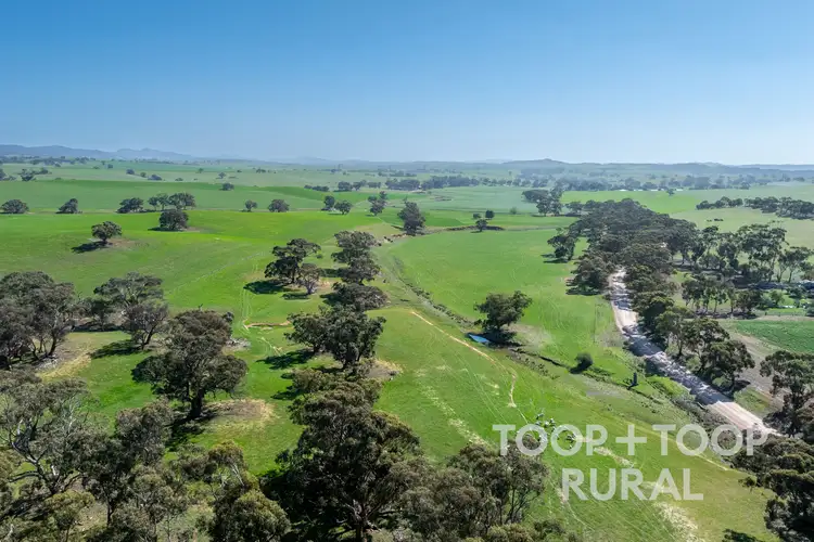 LOT 125 Ngapala Road, Brady Creek SA 5381