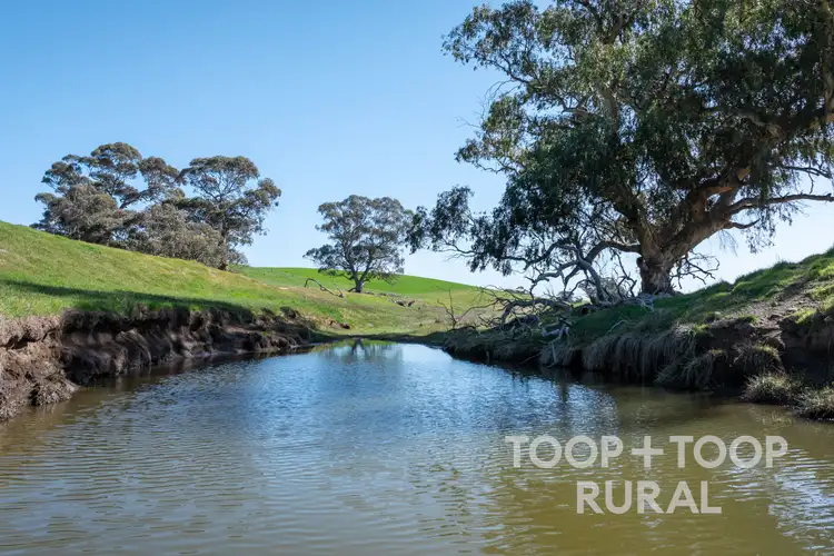 Second view of Homely rural property listing, LOT 125 Ngapala Road, Brady Creek SA 5381