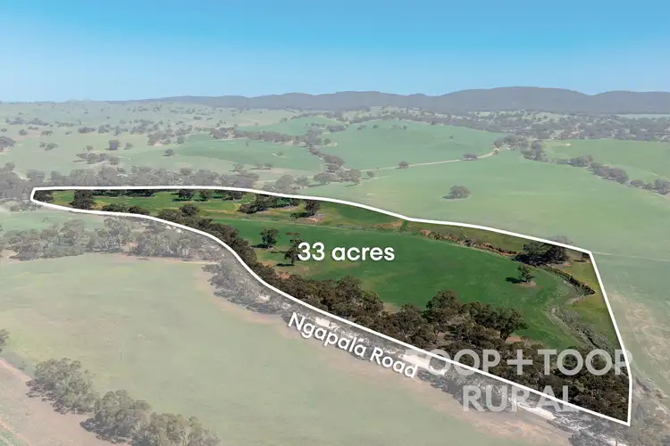 Third view of Homely rural property listing, LOT 125 Ngapala Road, Brady Creek SA 5381