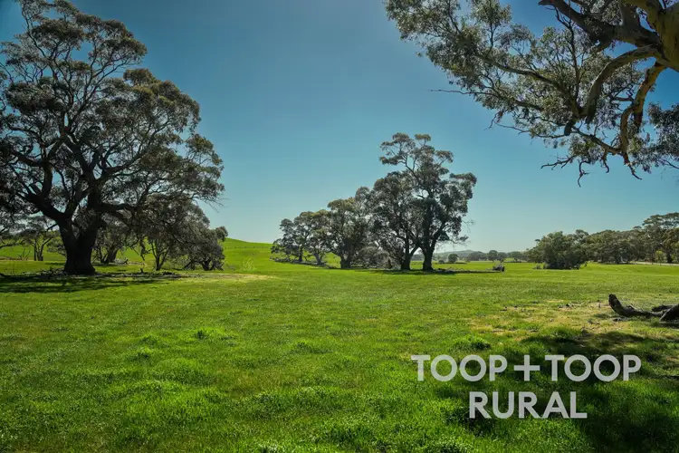 Fifth view of Homely rural property listing, LOT 125 Ngapala Road, Brady Creek SA 5381