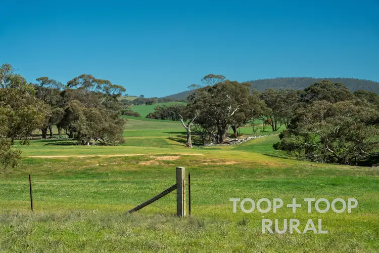 Sixth view of Homely rural property listing, LOT 125 Ngapala Road, Brady Creek SA 5381