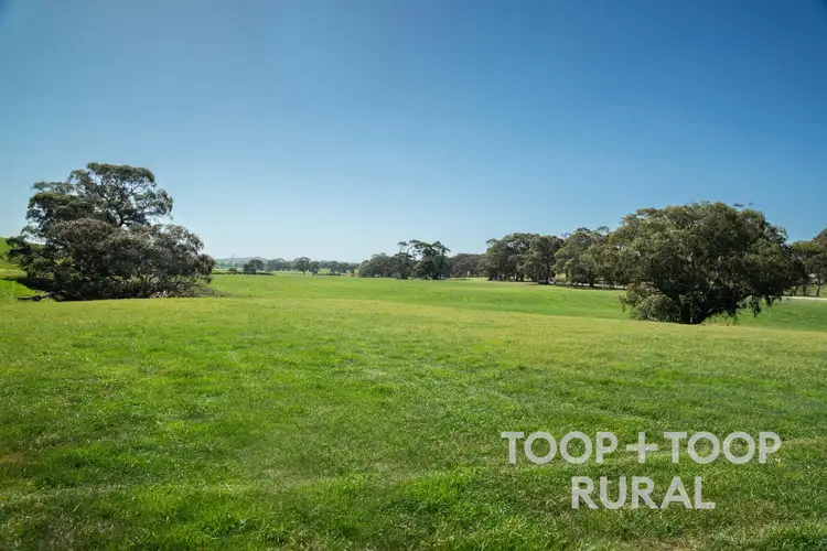 Seventh view of Homely rural property listing, LOT 125 Ngapala Road, Brady Creek SA 5381