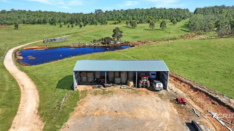 1458 Bendoc-Orbost Road, Bendoc VIC 3888