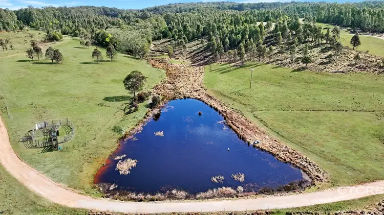 Fourth view of Homely rural property listing, 1458 Bendoc-Orbost Road, Bendoc VIC 3888