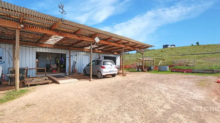 Seventh view of Homely rural property listing, 1458 Bendoc-Orbost Road, Bendoc VIC 3888