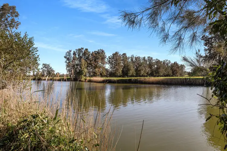 Third view of Homely rural property listing, 591 Coolangatta Road, Berry NSW 2535
