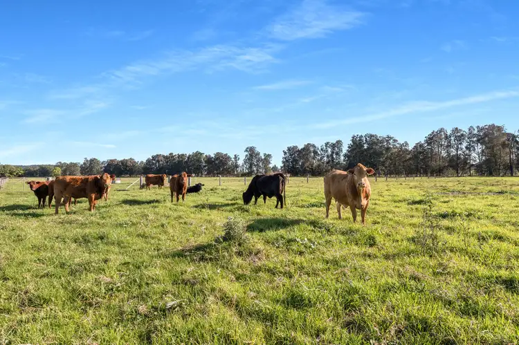 Sixth view of Homely rural property listing, 591 Coolangatta Road, Berry NSW 2535