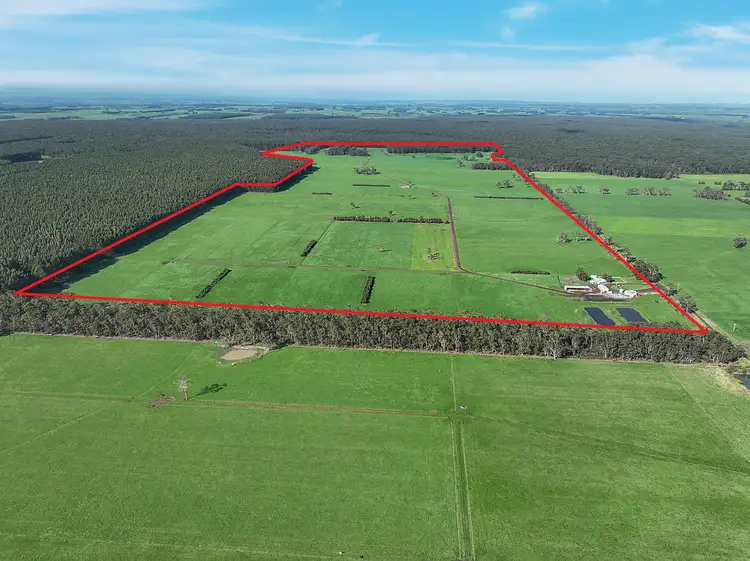 Main view of Homely rural property listing, 215 Horans Road, Carpendeit VIC 3260