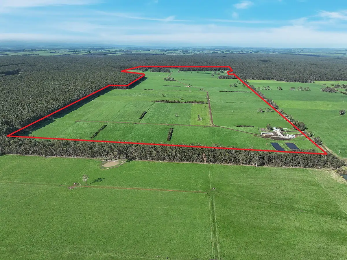 Main view of Homely rural property listing, 215 Horans Road, Carpendeit VIC 3260