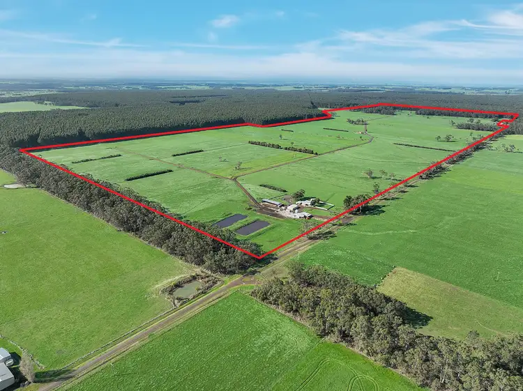 Second view of Homely rural property listing, 215 Horans Road, Carpendeit VIC 3260