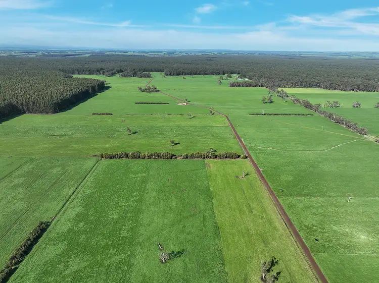 Third view of Homely rural property listing, 215 Horans Road, Carpendeit VIC 3260