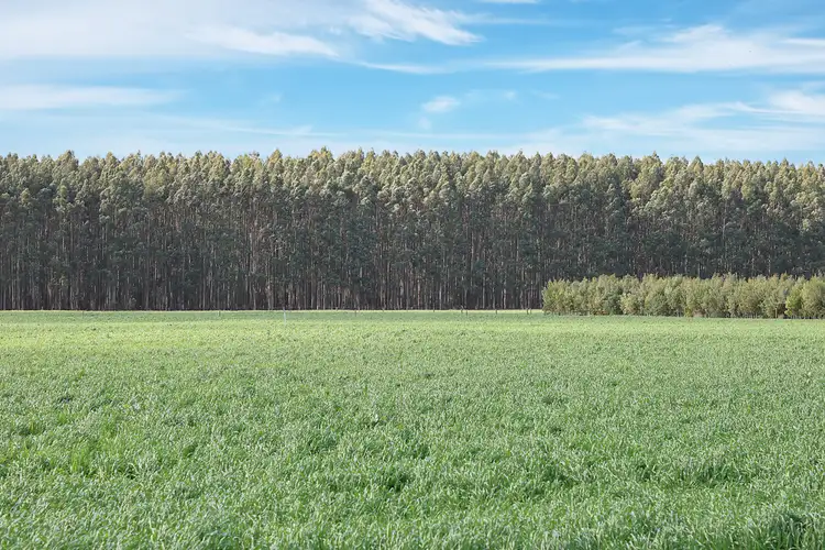 Sixth view of Homely rural property listing, 215 Horans Road, Carpendeit VIC 3260