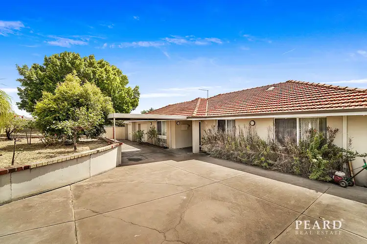Main view of Homely house listing, 505 Main Street, Balcatta WA 6021
