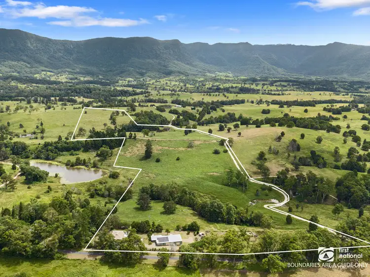 346 Pinnacle Road, Pumpenbil NSW 2484