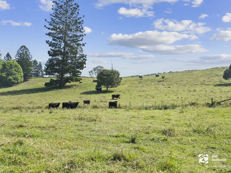 Third view of Homely house listing, 346 Pinnacle Road, Pumpenbil NSW 2484