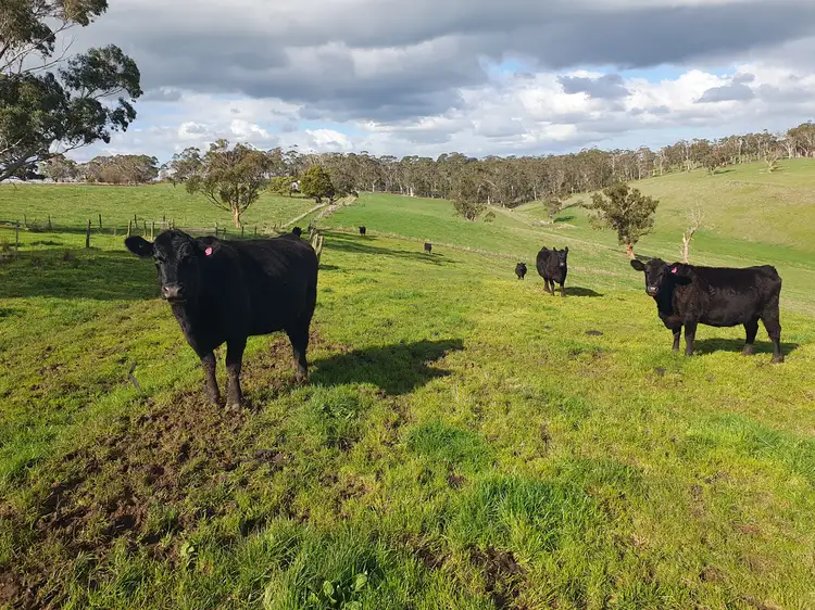 Fifth view of Homely rural property listing, LOT 2 Beatons Road, Jancourt VIC 3266