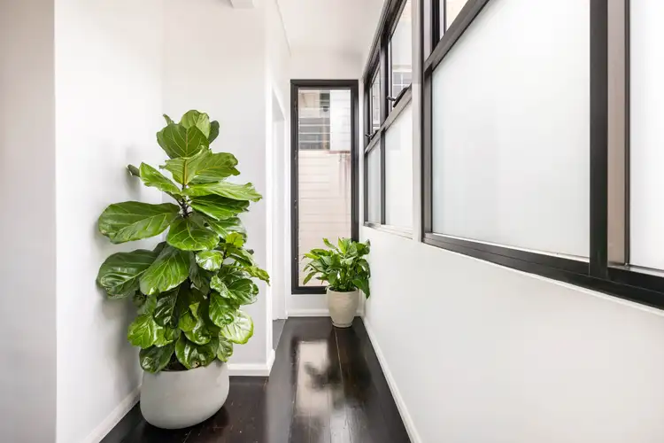 Fourth view of Homely apartment listing, 41B Barcom Avenue, Darlinghurst NSW 2010