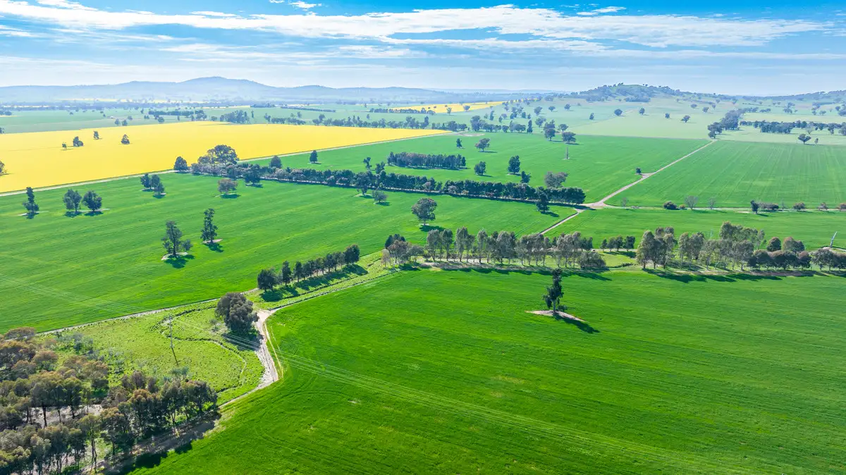 Main view of Homely rural property listing, Olympic Highway, Yerong Creek NSW 2642