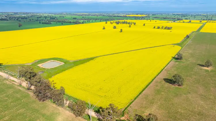 Second view of Homely rural property listing, Olympic Highway, Yerong Creek NSW 2642