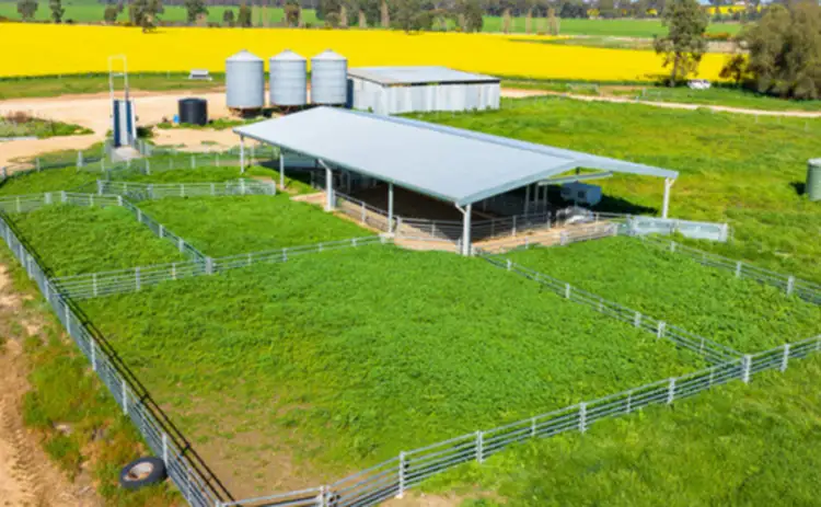 Fourth view of Homely rural property listing, Olympic Highway, Yerong Creek NSW 2642