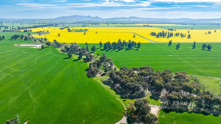 Fifth view of Homely rural property listing, Olympic Highway, Yerong Creek NSW 2642
