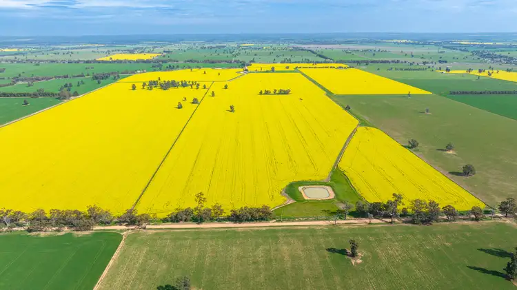 Sixth view of Homely rural property listing, Olympic Highway, Yerong Creek NSW 2642