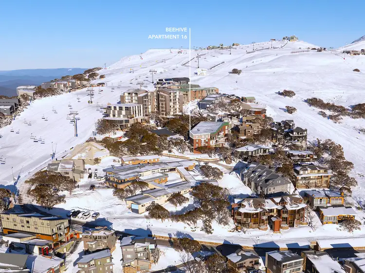 16/4 Pontresina Lane, Mount Buller VIC 3723