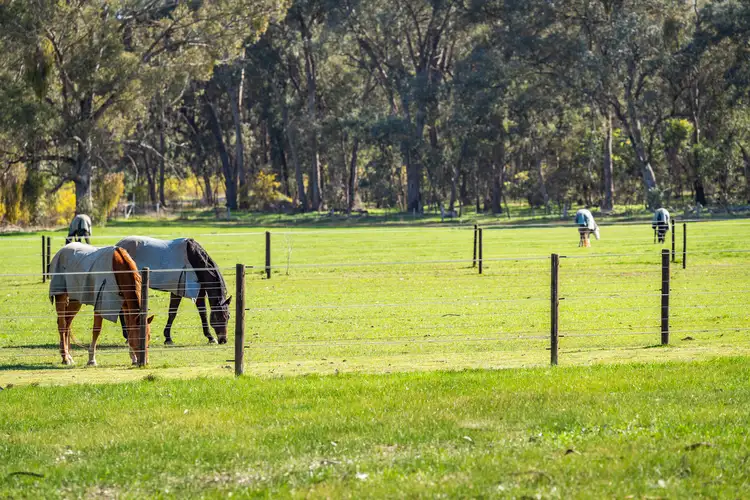 Third view of Homely rural property listing, 222 Chiltern-Rutherglen Road, Chiltern VIC 3683