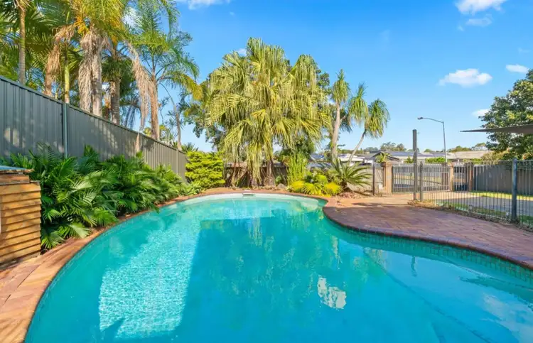 Second view of Homely house listing, 17 Myrtle Court, Palm Beach QLD 4221