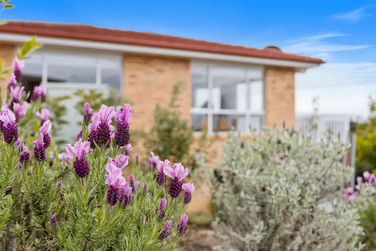 Second view of Homely house listing, 4 Donohoe Gardens, Kingston Beach TAS 7050