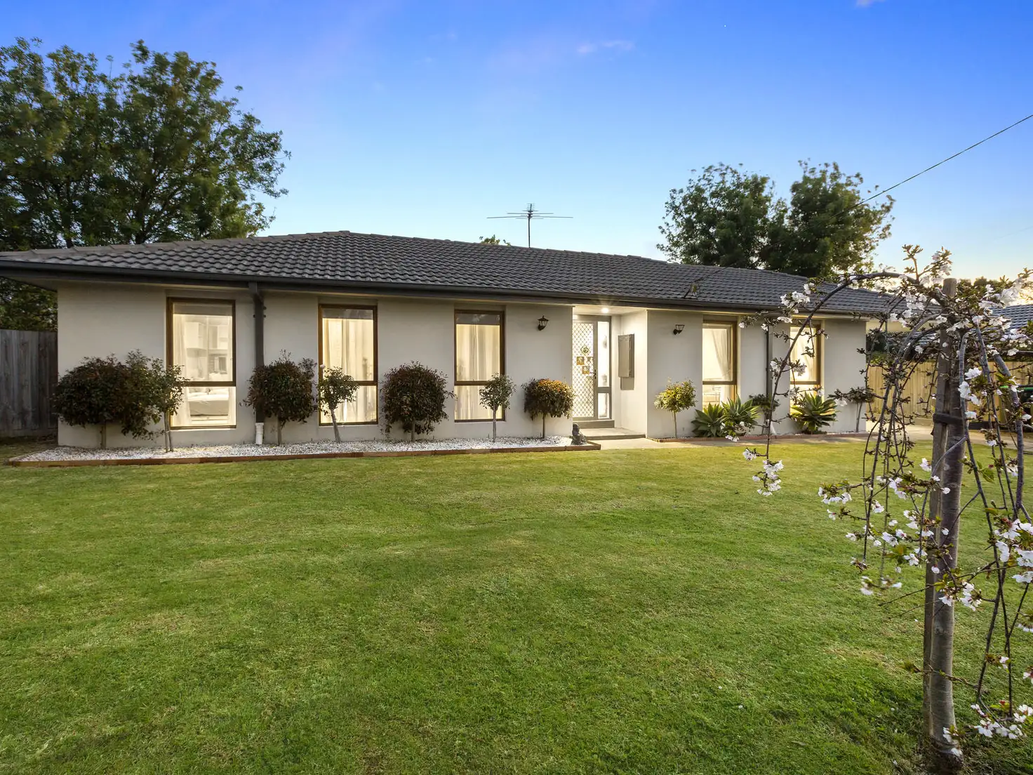Main view of Homely house listing, 12 Sheringa Court, Mornington VIC 3931