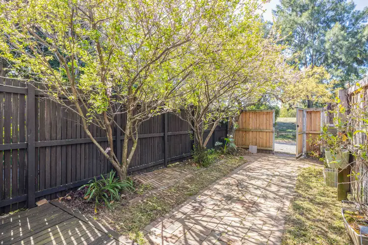 Main view of Homely terrace listing, 8 Campbell Road, Alexandria NSW 2015