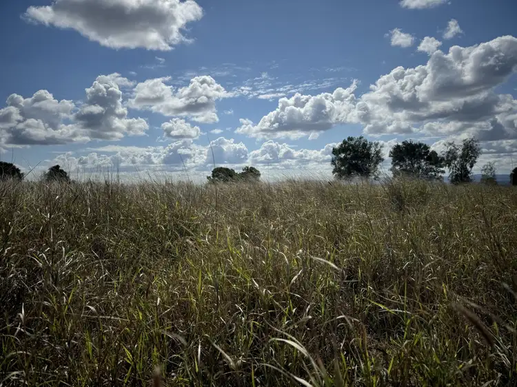 Main view of Homely rural property listing, 251 Ziebarths Road, Biloela QLD 4715