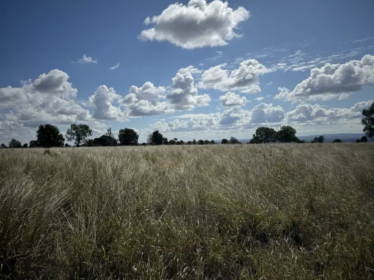 Seventh view of Homely rural property listing, 251 Ziebarths Road, Biloela QLD 4715