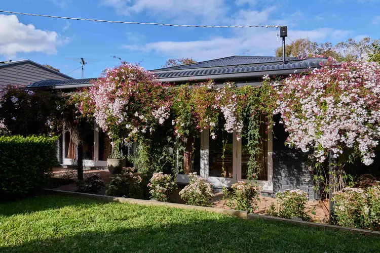 47 Strathmore Drive, Jan Juc VIC 3228